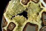 Polished Utah Septarian Flame - Beautiful Crystals #170018-1